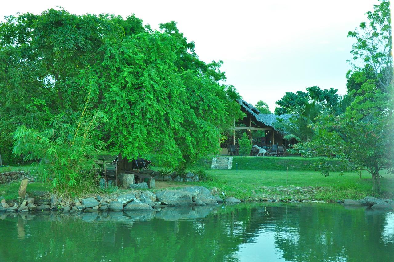 Thuduwa Camp Hotel Embilipitiya Kültér fotó